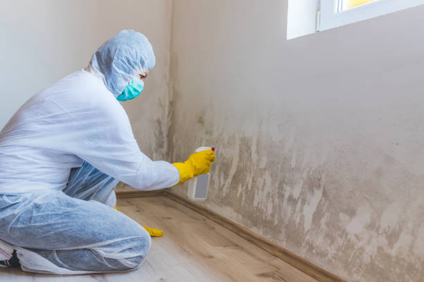 Mold Remediation specialist working in Dayton
